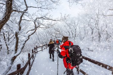 Güney Kore 'nin Muju kenti yakınlarındaki Deogyusan Ulusal Parkı' ndaki Deogyusan Dağı 'nın tepesinde turistler