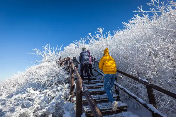 Korea Zima Turyści Szczycie Góry Deogyusan Parku Narodowym Deogyusan Pobliżu — Zdjęcie stockowe