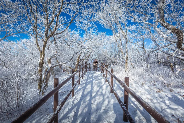 Korea Zima Turyści Szczycie Góry Deogyusan Parku Narodowym Deogyusan Pobliżu — Zdjęcie stockowe