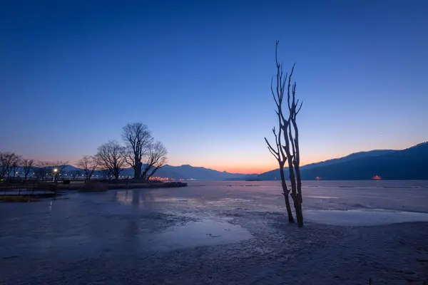 ヤンピョン ダンミョン 韓国の背景にある朝日の出と大きな木の冬の凍った湖 — ストック写真