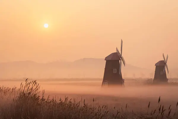 Sorae ecology wetland park, Beautiful sunset and traditional windmills, incheon South Korea.