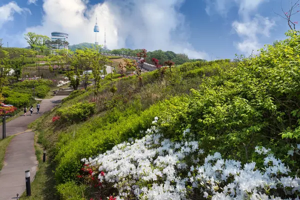 Namsan Park Jaře Den Pozadí Namsan Mountain Soul Jižní Korea — Stock fotografie