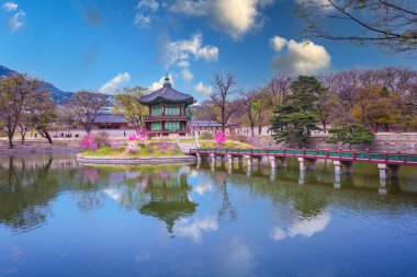 Güney Kore 'nin Seul şehrinde bahar zamanı Gyeongbokgung Sarayı.