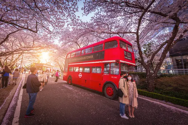 Turisté Fotografující Jarní Třešňové Květy Věži World Oblíbené Turistické Atrakce — Stock fotografie