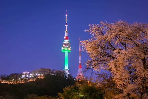 Lente Namsan Mountain Kersenbomen Seoul Zuid Korea Rechtenvrije Stockfoto's