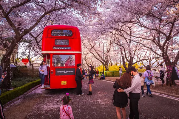 Туристы Фотографируют Весенние Цветения Вишни Популярной Туристической Достопримечательности World Tower Стоковая Картинка