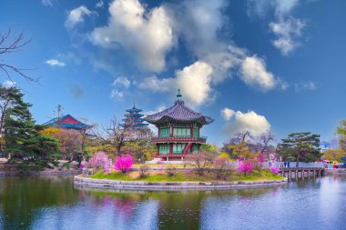 Güney Kore 'nin Seul şehrinde bahar zamanı Gyeongbokgung Sarayı.