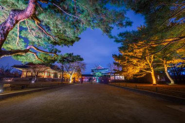 Gyeongbokgung Sarayı Gece ve güzel ışıklar, Seul, Güney Kore.