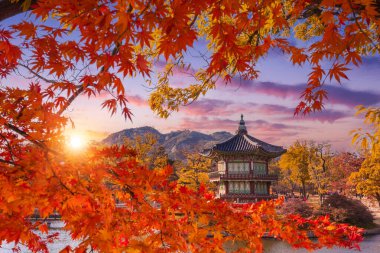 Gyeongbokgung Palace in autumn in sunset with maple leaves in the foreground, South Korea. clipart