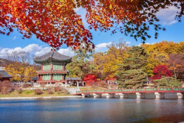 Gyeongbokgung Sarayı Sonbaharda, Güney Kore 'de akçaağaç yapraklarıyla.