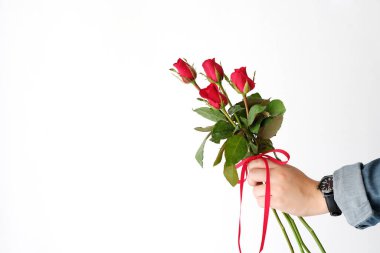 Sevgililer kavramı, adam beyaz zemin üzerine kırmızı gül tutan eller