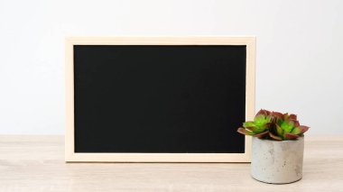 Ahşap masa ve beyaz zemin üzerinde sulu bitki ve boş vintage yazı tahtası, Houseplant moda tasarım arka plan konsepti