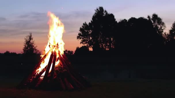 Big Burning Campfire Summer Evening Blue Sky Wood Fire Flying — Video Stock