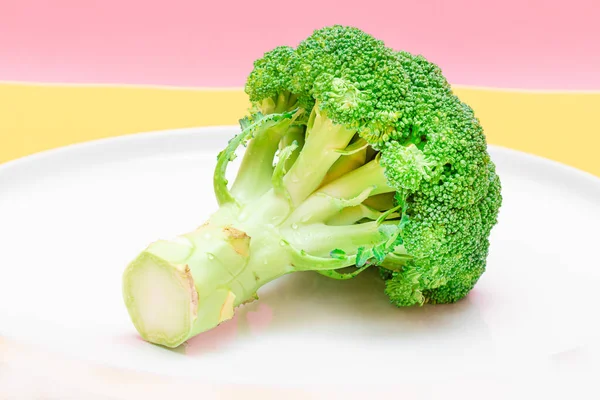 Fresh Raw Broccoli White Dish Uncooked Green Cabbage Vegan Vegetarian — Stock Photo, Image