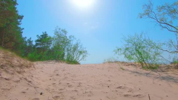 Colorama Sea Panorama Summer Sunny Day Slow Motion Доступ Балтійського — стокове відео