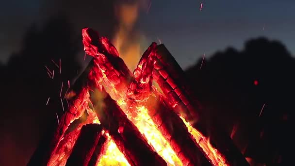 Big Burning Campfire Early Morning Evening Blue Sky Wood Fire — Vídeo de Stock