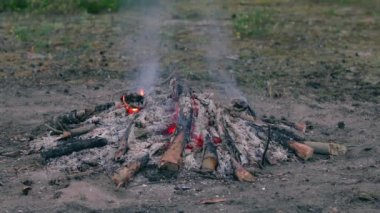 Akşam Ateşi Yazın Çam Ormanı 'nda yanıyor. Alevli Kamp Ateşi, Şenlik Ateşi İçin Yer. Fire Pit Out, Wood On Fire, Flying Sparks ve Smoke. Seyahat ve Turizm Konsepti - Yavaş Hareket