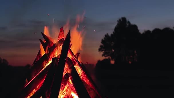 Big Burning Campfire Early Morning Evening Blue Sky Wood Fire — Stockvideo