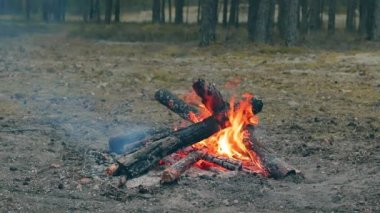 Akşamları ormanda yanan bir şenlik ateşi. Alevli Kamp Ateşi. Doğadaki Şömine - Sabit Çekim, Yavaş Hareket