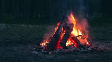 Akşam Ateşi Yazın Çam Ormanı 'nda yanıyor. Alevli Kamp Ateşi, Şenlik Ateşi İçin Yer. Fire Pit Out, Wood On Fire, Flying Sparks ve Smoke. Seyahat ve Turizm Konsepti - Yavaş Hareket