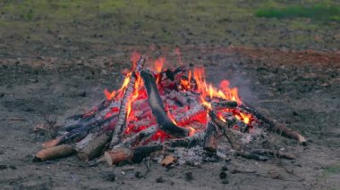 Akşam Ateşi Yazın Çam Ormanı 'nda yanıyor. Alevli Kamp Ateşi, Şenlik Ateşi İçin Yer. Fire Pit Out, Wood On Fire, Flying Sparks ve Smoke. Seyahat ve Turizm Konsepti - Yavaş Hareket