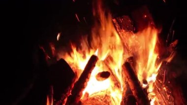 Karanlık Orman 'da Gece Ateşi Yanıyor. Gece vakti Alevli Kamp Ateşi. Şenlik Ateşi için yer. Fire Pit Out, Wood On Fire, Flying Sparks ve Smoke. Seyahat ve Turizm Konsepti - Statik Atış