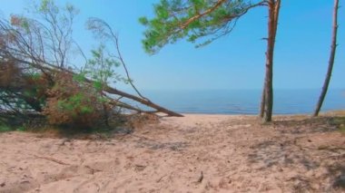 Colorful Sea Panorama at Summer Sunny Day - Slow Motion. Access to the Baltic Sea, Moving Forward to the Water