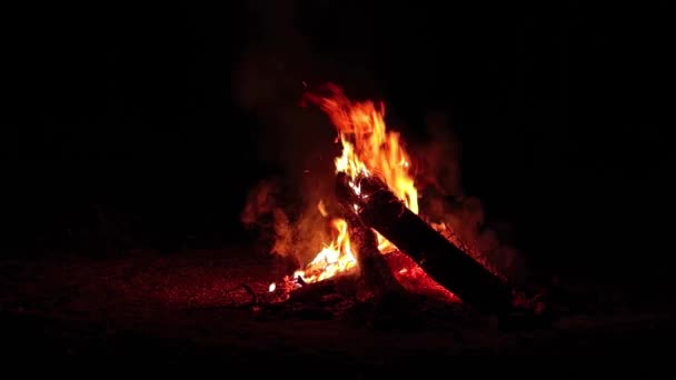 Nächtliches Lagerfeuer Brennt Dunklen Wald Flammendes Lagerfeuer Der Nacht Platz — Stockvideo