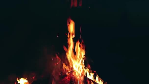Big Campfire Burning Early Morning Evening Blue Sky Wood Fire — 图库视频影像