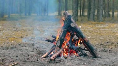 Yaz Bayramı 'nda Ormanda Şenlik Ateşi. Alevli Kamp Ateşi. Doğadaki Şömine - Sabit Çekim, Yavaş Hareket