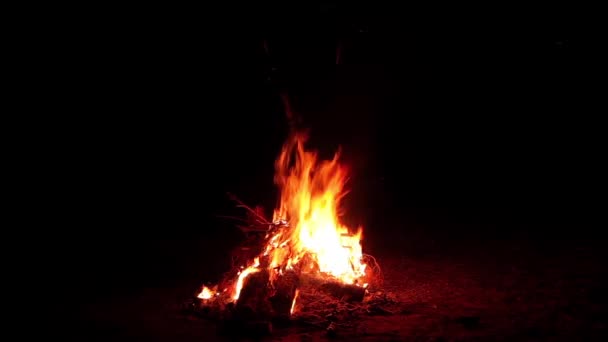 Nachtfeuer Brennt Dunklen Wald Isoliert Auf Schwarzem Hintergrund Flammendes Lagerfeuer — Stockvideo
