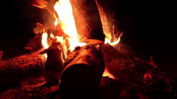 闇の森の夜の焚き火 スローモーション 夜間のキャンプファイアの炎 たき火の場所です 火ピット屋外 火の上の木 空飛ぶ火花と煙 Static Shot — ストック動画