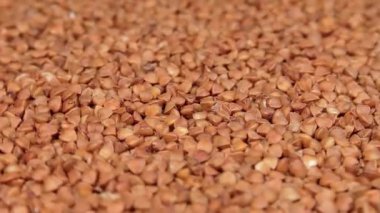 Kuru pişmemiş kahverengi karabuğday Groats dönüyor. Çiğ Büyük Karabuğday Taneleri. Rus, Ukrayna ve Beyaz Rusya Kültürü