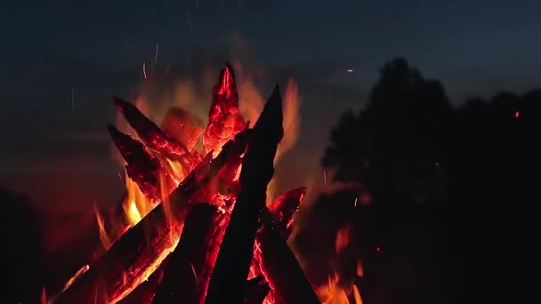 Big Burning Campfire Summer Night Blue Sky Wood Fire Flying — Video