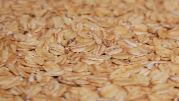 Uncooked Oat Flakes Rotating Scattered Dry Raw Oat Flakes Healthy — Stock video