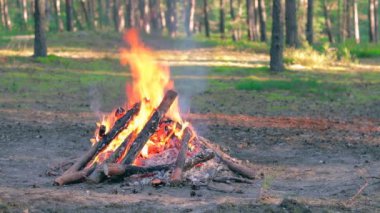 Yaz aylarında Çam Ormanı 'nda Şenlik Ateşi Gündüz Yakar. Alevli Kamp Ateşi, Şenlik Ateşi İçin Yer. Fire Pit Out, Wood On Fire, Flying Sparks ve Smoke. Seyahat ve Turizm Konsepti - Yavaş Hareket