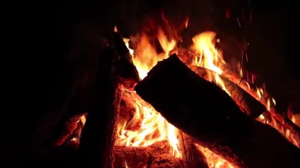 Night Bonfire Burns Dark Forest Slow Motion Inglês Fogueira Flamejante — Vídeo de Stock