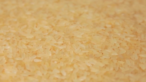 炊かれていないご飯の回転を乾燥させます 生の長粒米を散布 アジア料理と文化 健康的な食材 — ストック動画