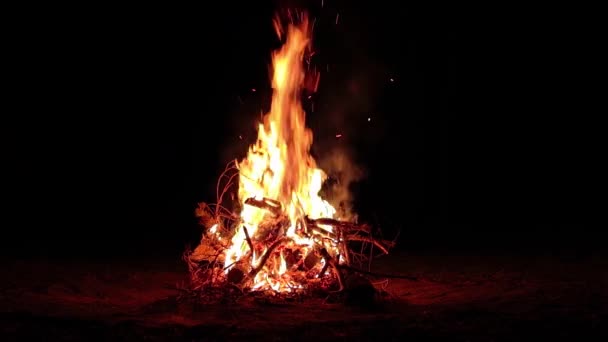 闇の森の夜の焚き火 スローモーション 夜間のキャンプファイアの炎 たき火の場所です 火ピット屋外 火の上の木 空飛ぶ火花と煙 Static Shot — ストック動画