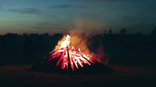 Big Burning Campfire Summer Evening Blue Sky Wood Fire Flying — ストック動画
