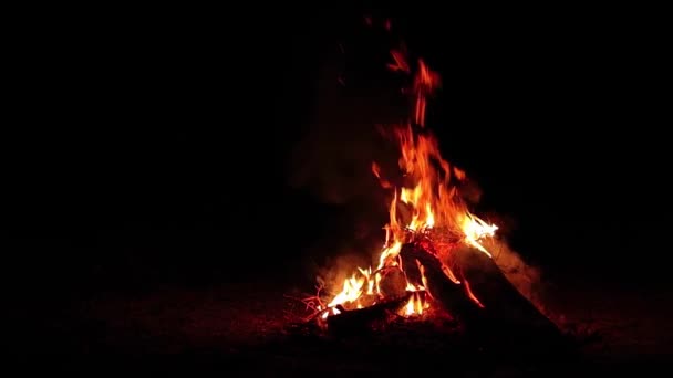 夜のたき火闇の森のバーンズ 黒に隔離された 夜間のキャンプファイアの炎 たき火の場所です 火ピット屋外 火の上の木 空飛ぶ火花と煙 スローモーション — ストック動画