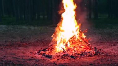 Akşam Ateşi Yazın Çam Ormanı 'nda yanıyor. Alevli Kamp Ateşi, Şenlik Ateşi İçin Yer. Fire Pit Out, Wood On Fire, Flying Sparks ve Smoke. Seyahat ve Turizm Konsepti - Yavaş Hareket