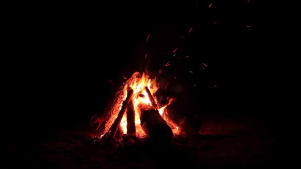 暗い森の夜のたき火バーンズ 黒の背景に隔離されました 夜間のキャンプファイアの炎 たき火の場所です 火ピット屋外 火の上の木 空飛ぶ火花と煙 Static Shot — ストック動画