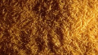 Saat Yönünde Dönen Pişmemiş Altın Eriştelerin Arkaplanı - Üst Görünüm. Kuru Vermicelli Dönüşü dokusu. Low Key Light ile Çiğ Makarna - Sağ Döndürme