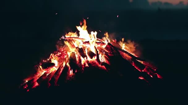 Big Campfire Burning Early Morning Evening Blue Sky Wood Fire — ストック動画
