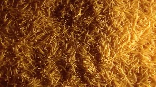 Background Uncooked Golden Noodles Rotating Clockwise Top View Texture Dry — Stock Video