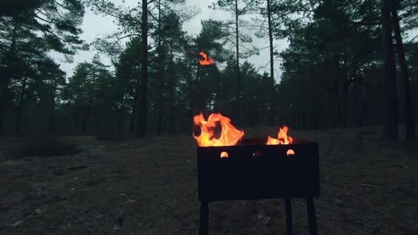 Вогонь Горить Грилі Пожежа Бразері Kindling Coals Mangal Приготуватися Приготування — стокове відео