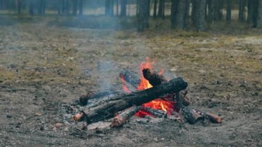 Akşamları ormanda yanan bir şenlik ateşi. Alevli Kamp Ateşi. Doğadaki Şömine - Sabit Çekim, Yavaş Hareket