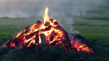 Big Campfire is Burning Down in Early Morning. Wood on Fire. Flying Sparks. Travel and Tourism Concept. Remains of a Giant Bonfire at Summer - Static Shot, Slow Motion