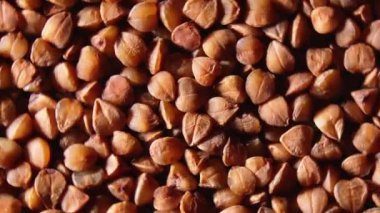 Kuru pişmemiş kahverengi karabuğday tarlaları, döner arka plan - Top View, Yakın plan, Macro. Çiğ Büyük Karabuğday Taneleri. Rus, Ukrayna ve Beyaz Rusya Kültürü. Sağa Döndür